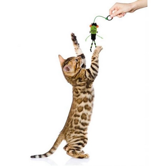 ❤️🔥10/$30❤️🔥SmartyKat Bouncy Mouse with Catnip - Picture 3 of 3